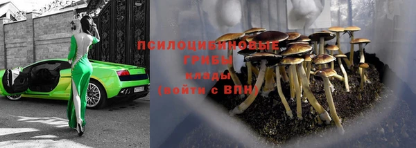 прущие крисы Вязники